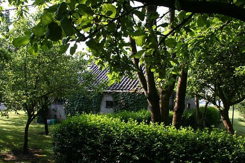 Natuurhuis in de landerijen van Groningen - 5