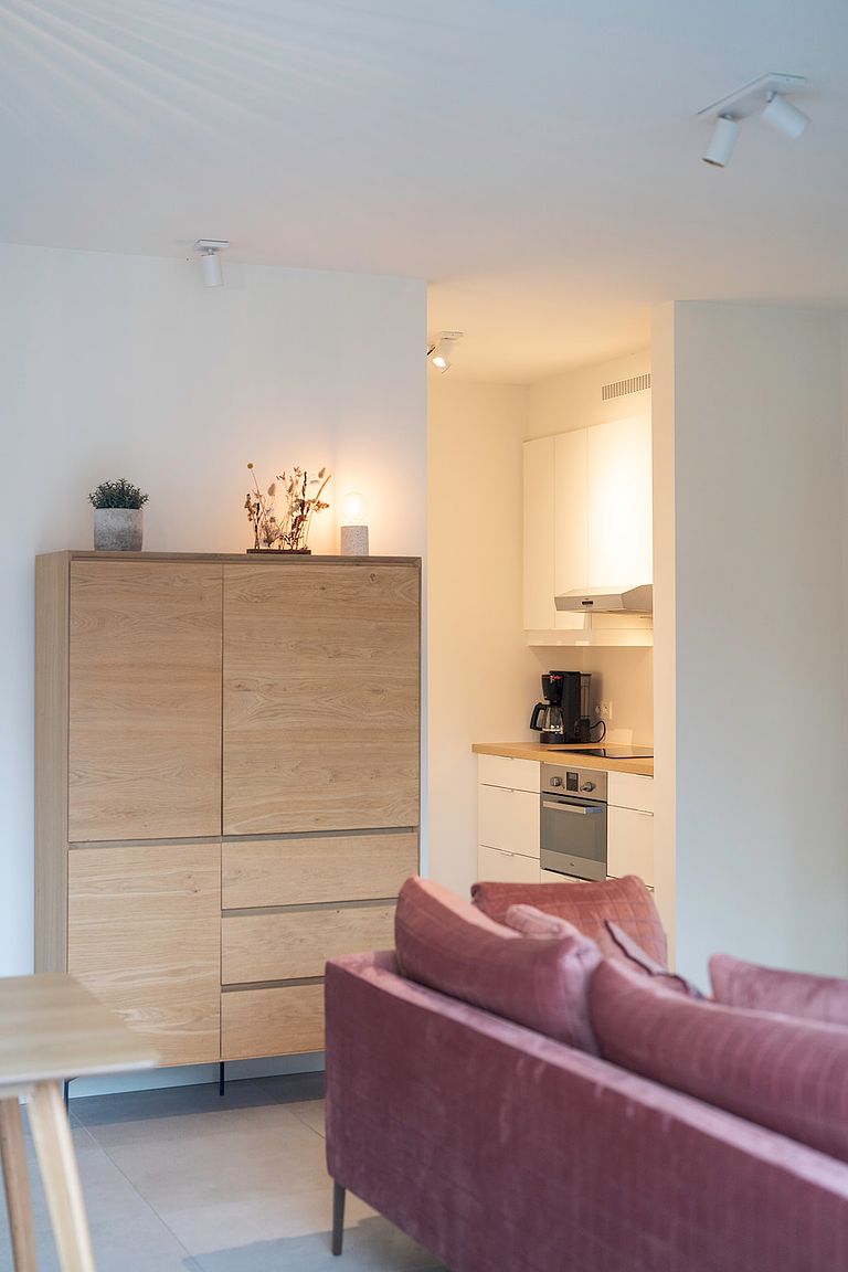 Luxe overnachting nabij Antwerpen - 1