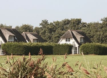 Comfortable holiday home with large garden - 22