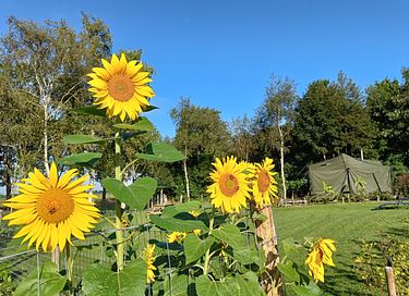 Einzigartiges Glamping Armeezelt mit Whirlpool und Ofen - 22