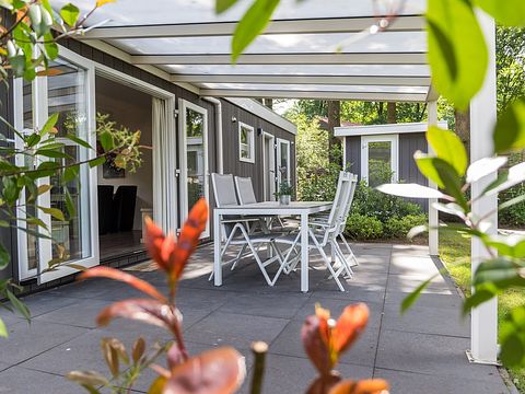 Lodge indépendant et confortable à Veluwe - 2