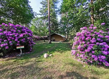 Romantische safaritent (2p) met ligbad - 4