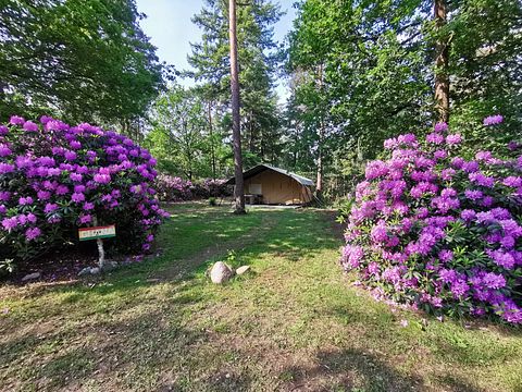 Romantische safaritent (2p) met ligbad - 4