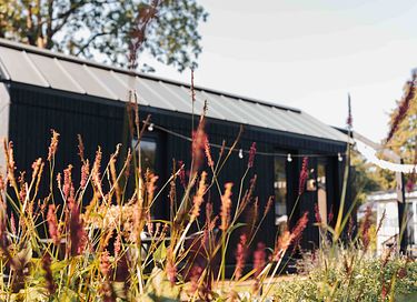 Scandinavisch huisje op de Veluwe - 28