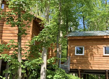 Tree villa for 6 persons - 2
