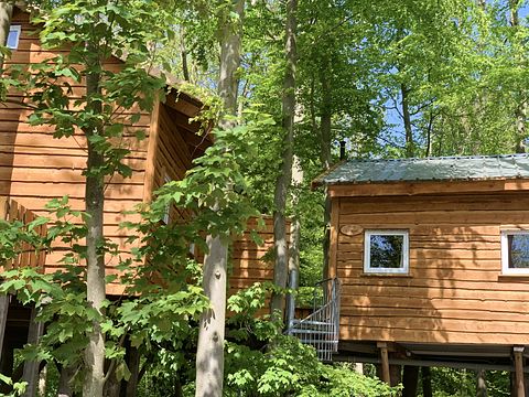 Tree villa for 6 persons - 2