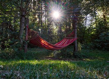 Glamping in Frankrijk omringd door bos - 13