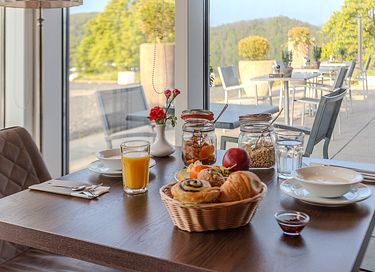 Hotel at the Rur lake in the middle of the Eifel region - 23