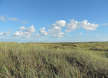 Cozy hotel close to the sea on Terschelling - 13