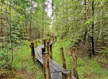 Sfeervolle vakantiewoning (4p) in Drenthe - 33