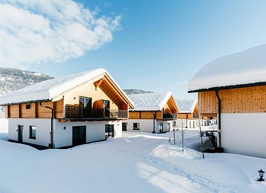 Luxuriöses Chalet mit Sauna in den Bergen - 3