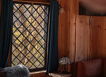 Luxury tree lodge with sauna - 13