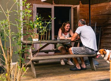 Unique stay in Drenthe (dogs allowed) - 3