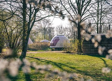 Rêver dans cette tente de glamping - 7