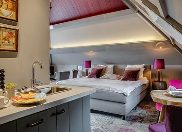 Boutique hotel met prachtige tuin in Haarlem - 19