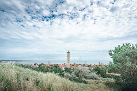 Studio acceptant les chiens (2 personnes) à Terschelling - 4