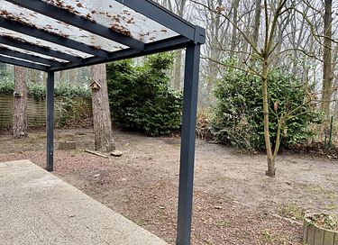 Hundefreundliches Waldhaus - 2