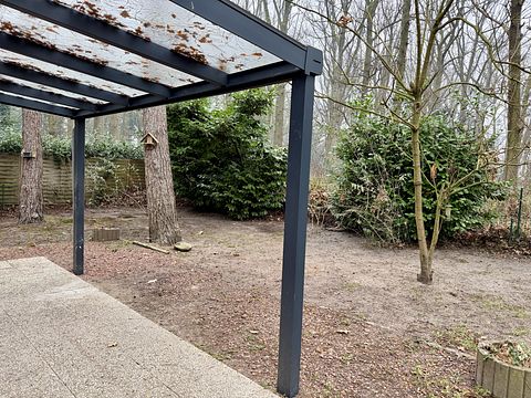 Hundefreundliches Waldhaus - 2