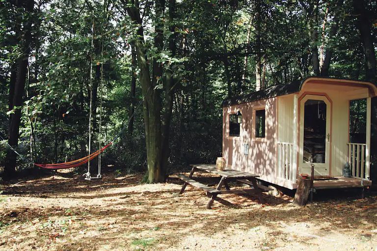 Einzelner Zirkuswagen im Wald - 1