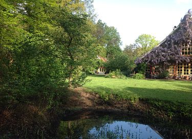 Prachtig natuurhuisje als in een sprookje - 38