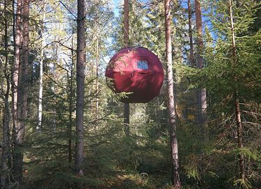 Tente glamping unique en pleine forêt - 2