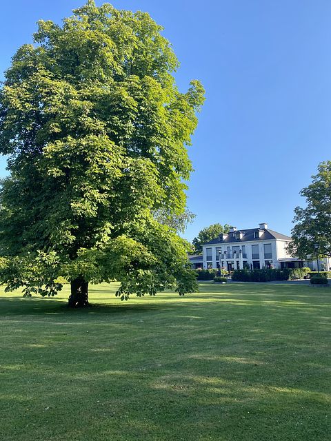 Luxury B&B in Zeeland - 3