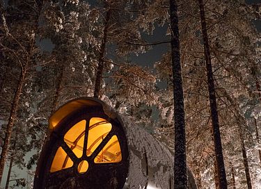 Unique forest cabin in Sweden - 3