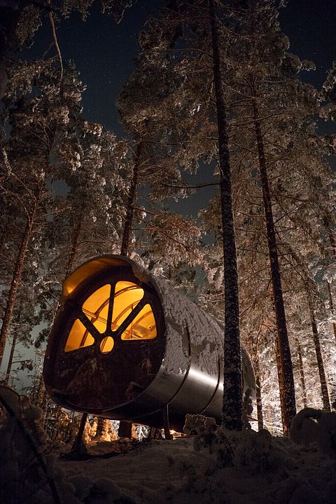 Unique forest cabin in Sweden - 3