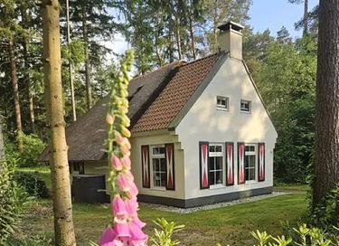 Logement de vacances idyllique en Drenthe