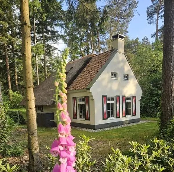 Idyllisch vakantiehuisje in Drenthe - 1
