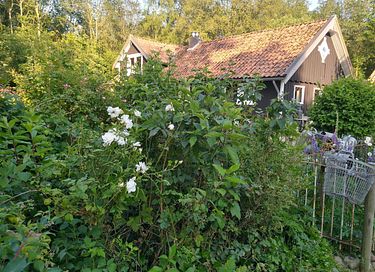 Gemütliches schwedisches Landhaus in Drenthe - 34