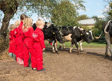 Glamping op knusse koeienboerderij - 11