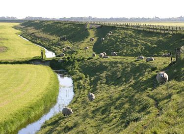 Landelijke Hotelhuisjes bij de boer - 15