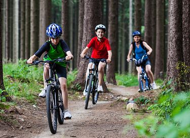 Logement de vacances moderne sur la Veluwe - 39
