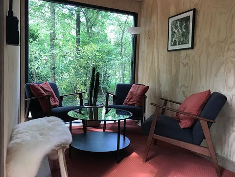 Spend the night in a tucked-away forest cabin - 4