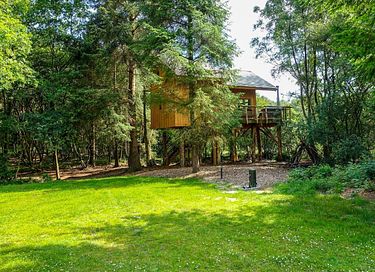 Unieke boomhut in Drenthe voor 6 personen - 2