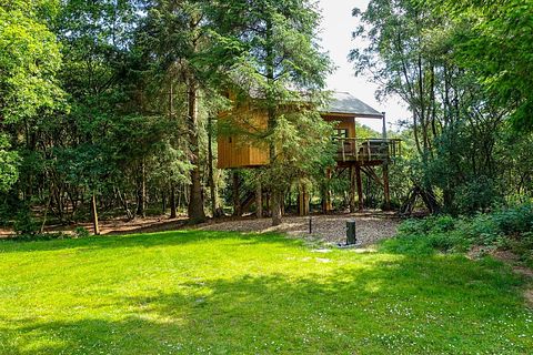Unieke boomhut in Drenthe voor 6 personen - 2