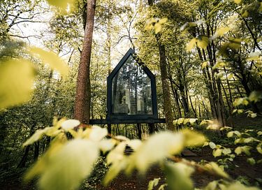 Einzigartige Hütte zwischen den Bäumen in den Ardennen - 4