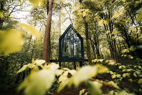 Einzigartige Hütte zwischen den Bäumen in den Ardennen - 4