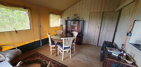 Glampingtelt i Groningen med hottub - 3