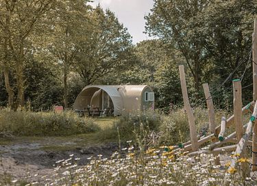 Cozy glamping tent in the middle of the forest - 2