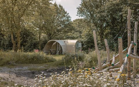 Cozy glamping tent in the middle of the forest - 2