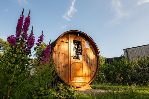 Ferienwohnung mit Sauna in Overijssel (2p) - 3