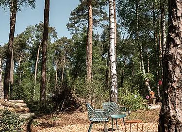 Lodge de luxe en pleine forêt avec spa privé - 42