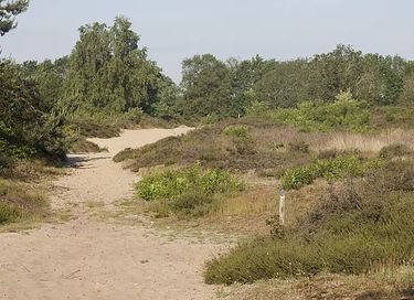 Un séjour spacieux à la cime des arbres, dans la province de Drenthe - 22