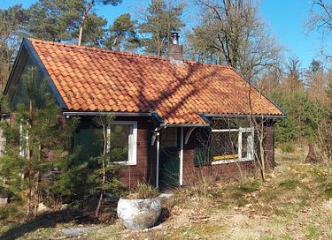 Knus boshuisje met houtkachel  - 1