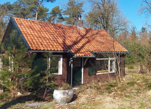 Knus boshuisje met houtkachel  - 1