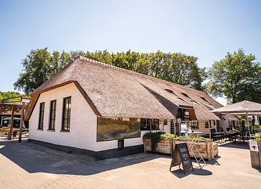 Tiny House voor 4 personen - 11