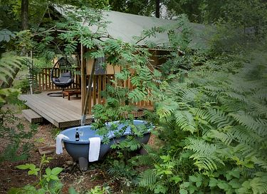 Safari tent with private hottub in the forest
