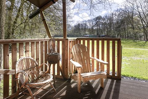 Ruime lodge op mooi domein met paarden - 4